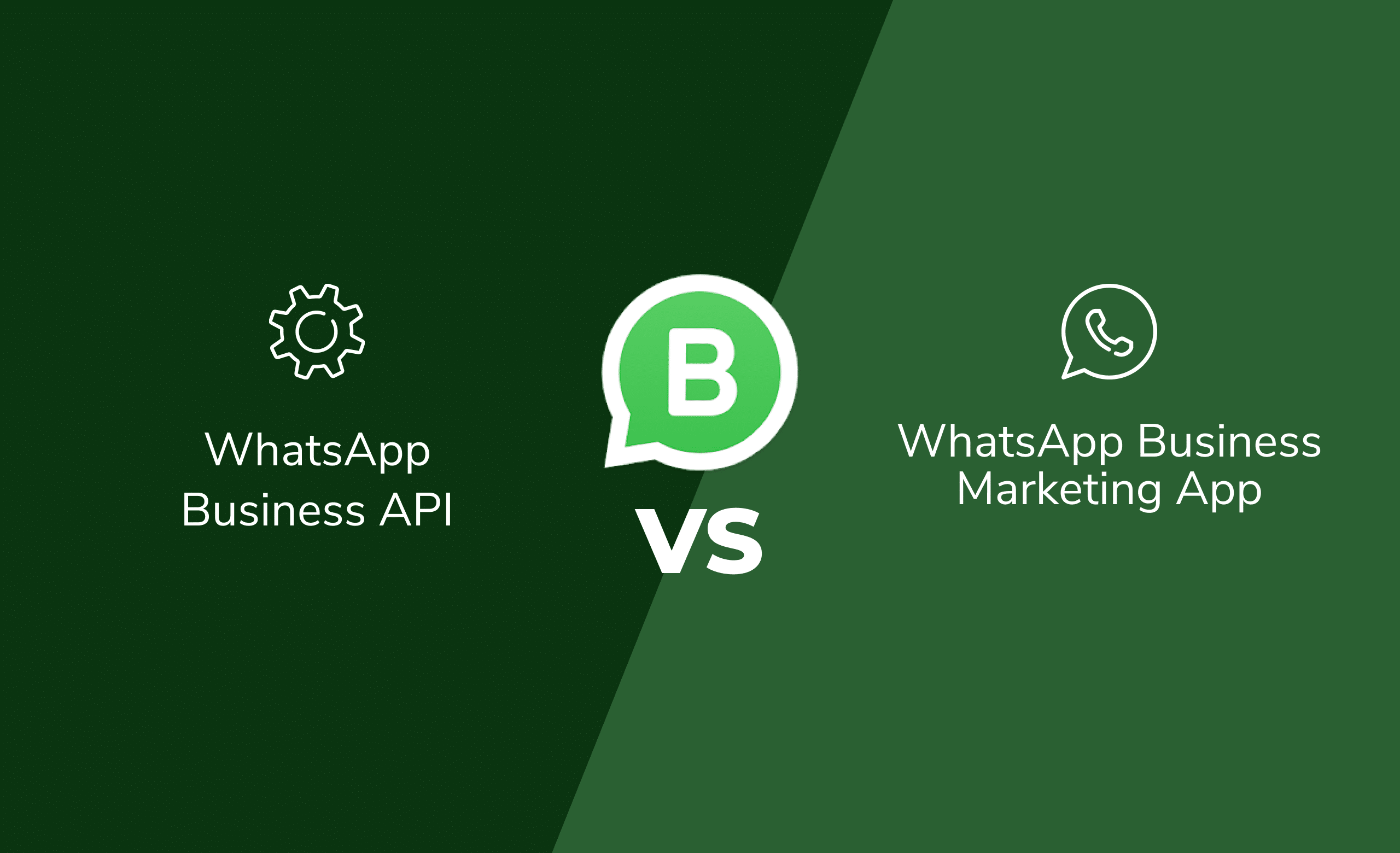 WhatsApp Business API vs. WhatsApp Business Marketing App